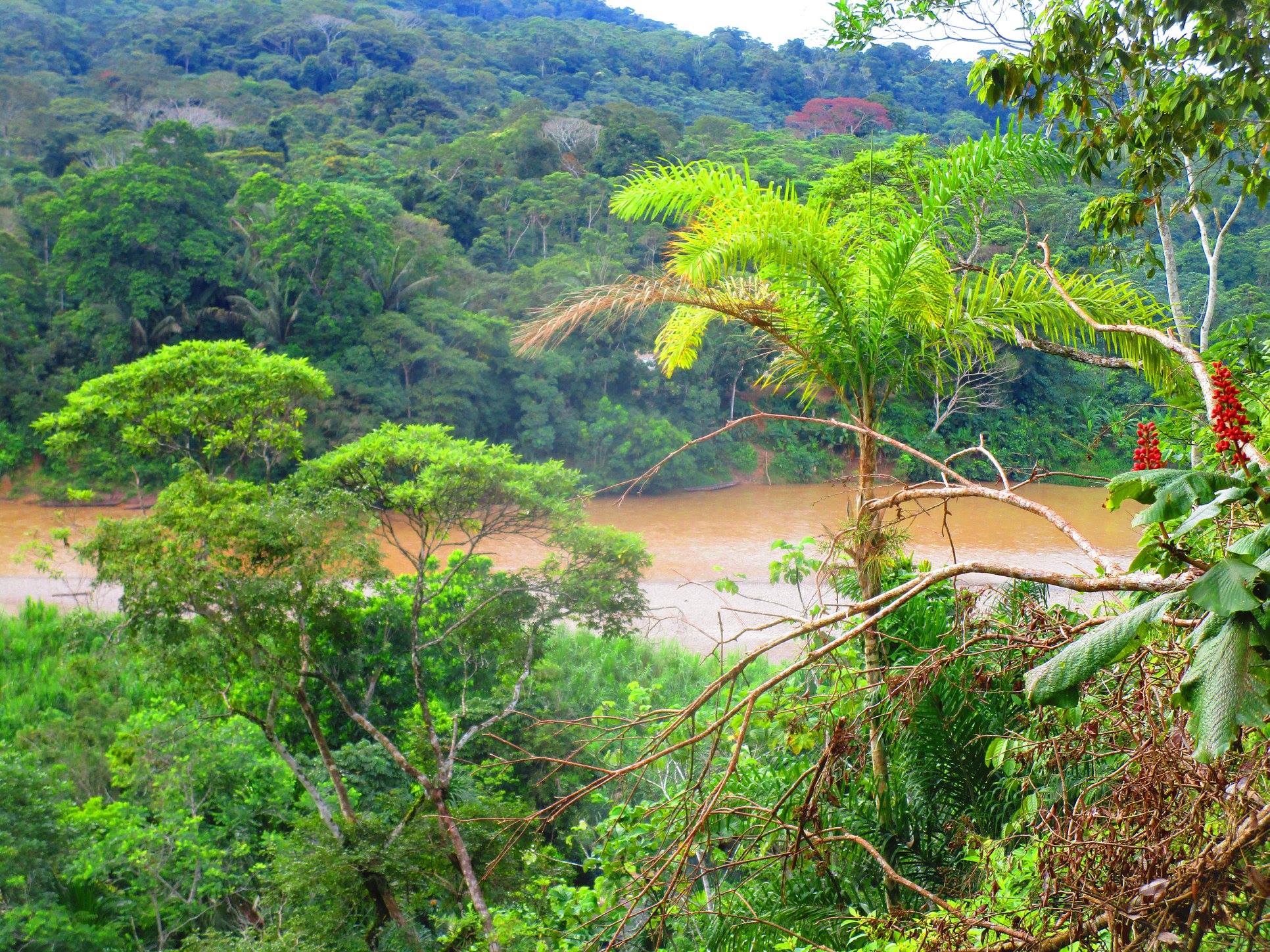 Ecuador